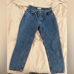 Everlane Curvy 90’s Cheeky Straight Jean Organic Cotton Blue Jeans